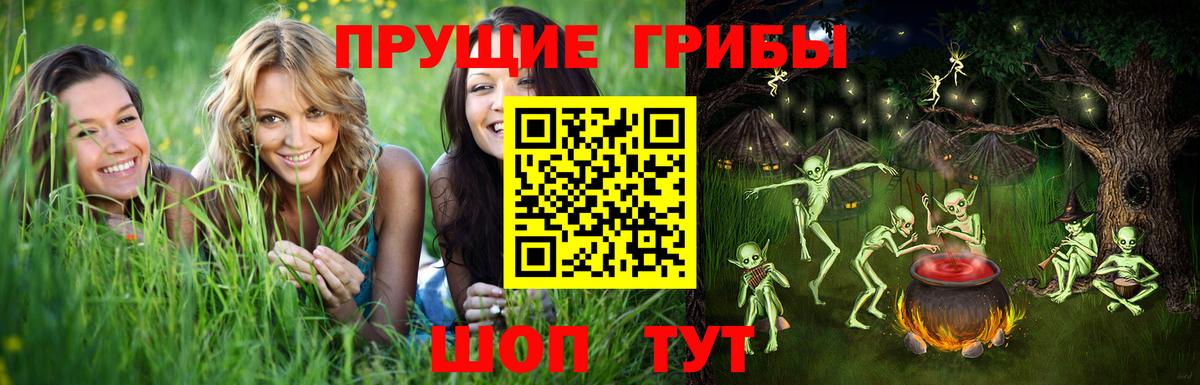 Меф кристаллы  Саянск  Марихуана  Вход с VPN  ГАШ  А ПВП СК  