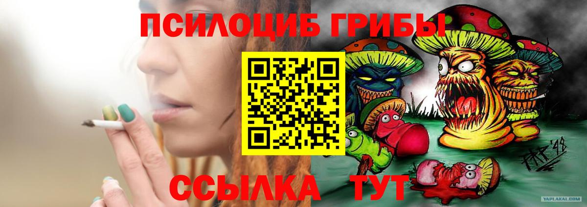 где найти   Вход с VPN  Саянск  Псилоцибиновые грибы Magic Shrooms  Галлюциногенные грибы мухоморы 